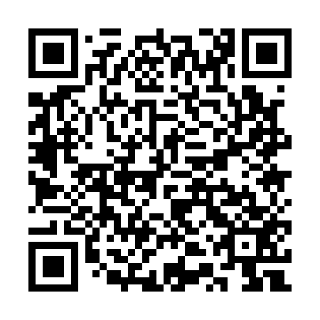 QR code for plate STQ 153