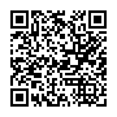 QR code for plate SXE 313