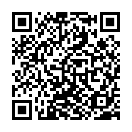 QR code for plate SYK 110