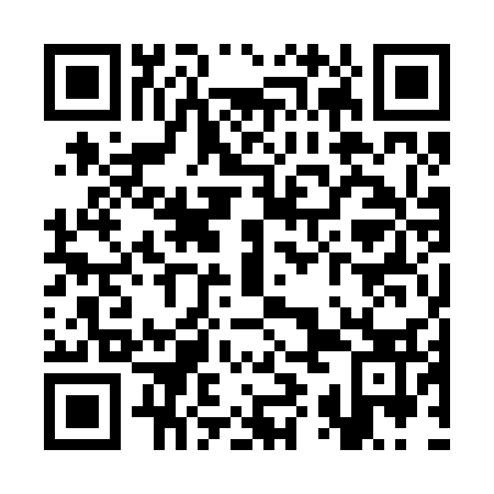 QR code for SYO233