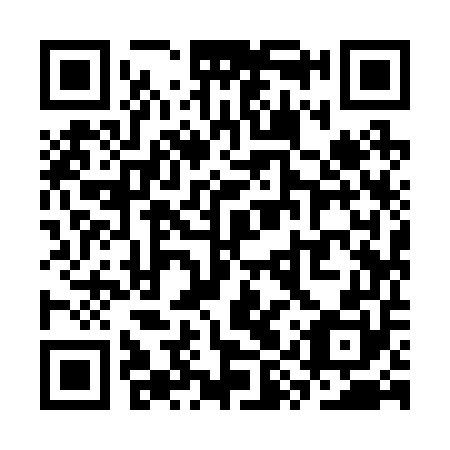 QR code for SYY250