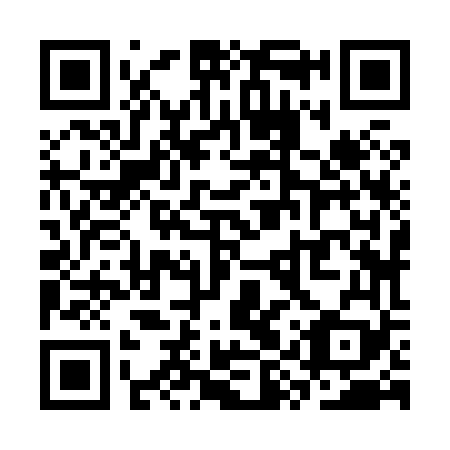 QR code for SYZ 869