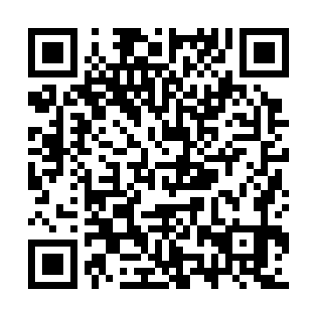 QR code for SZZ 371