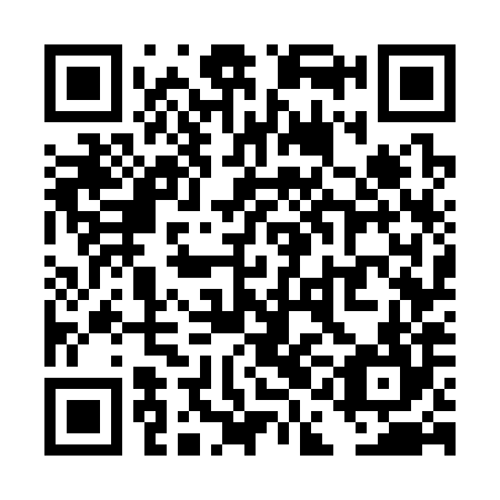QR code for TAG 384