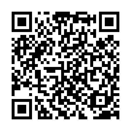 QR code for TAI 491