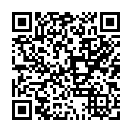QR code for plate TAN 380