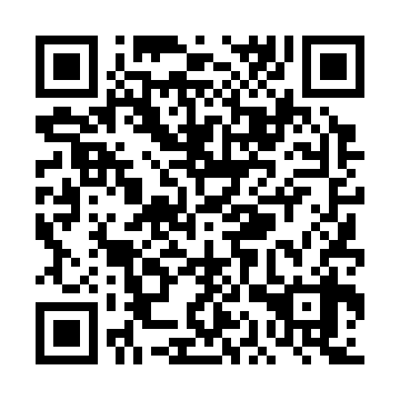 QR code for plate TAT 338