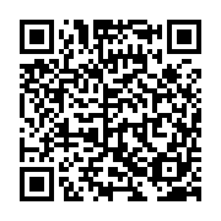 QR code for plate TBI 950