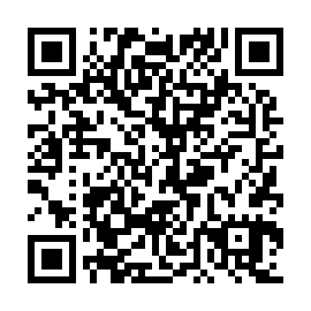QR code for plate TDD 965
