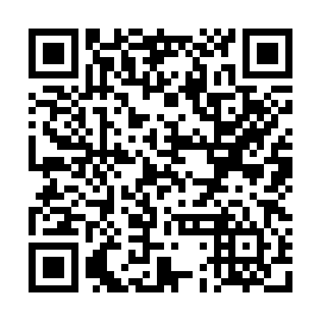 QR code for TDK384