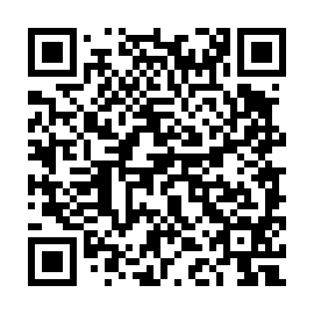 QR code for TDT 494