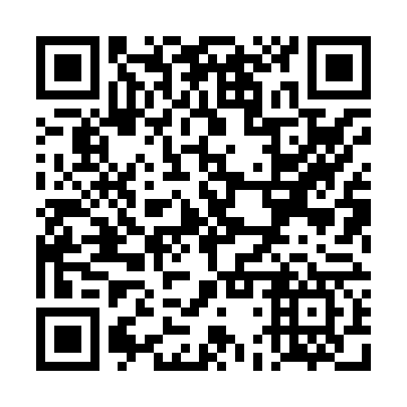 QR code for plate TDX 867