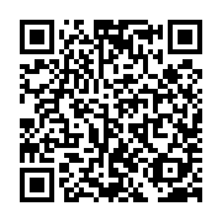 QR code for plate TEF 589