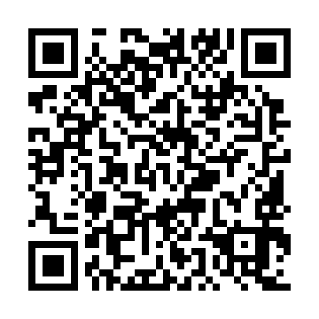QR code for TEM393
