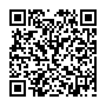 QR code for TEV 386