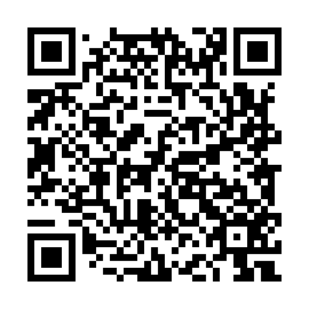 QR code for plate TFL 956