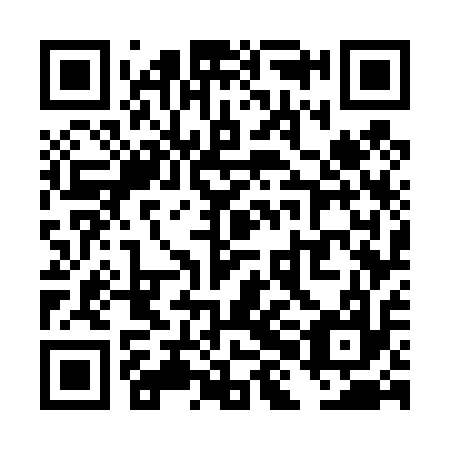 QR code for plate THG 417