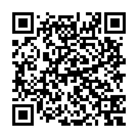 QR code for THI 538