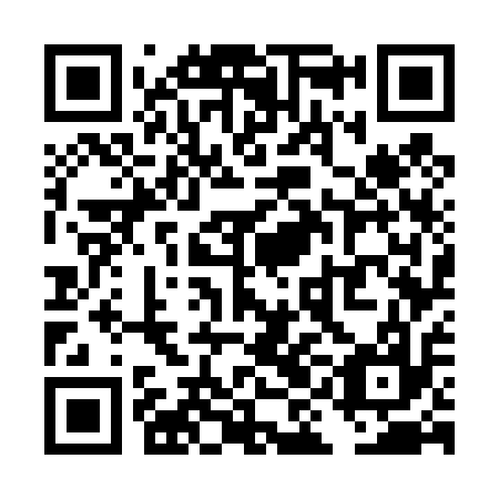 QR code for TIG 417