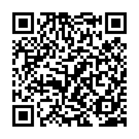 QR code for TIS410