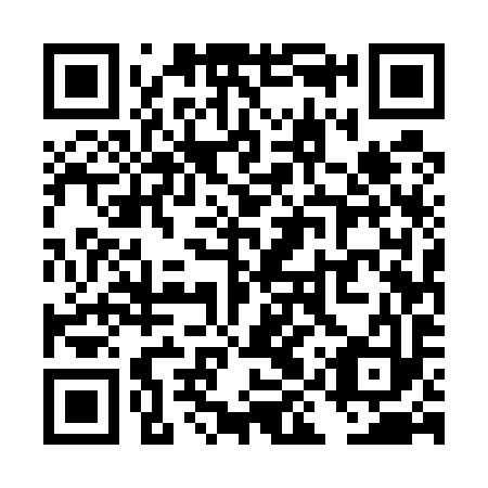 QR code for plate TIU 593