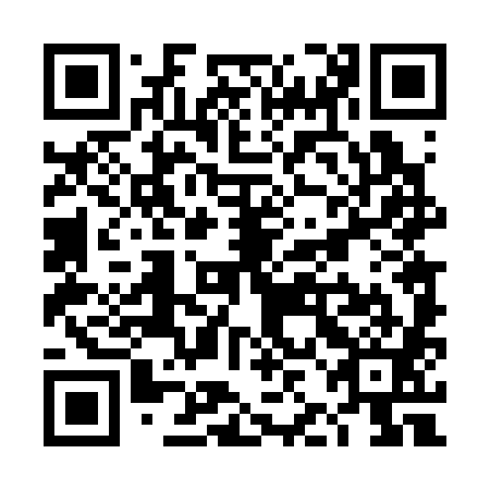 QR code for plate TJD 381