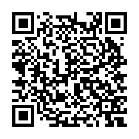 QR code for plate TKU 273