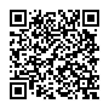 QR code for TOY 060