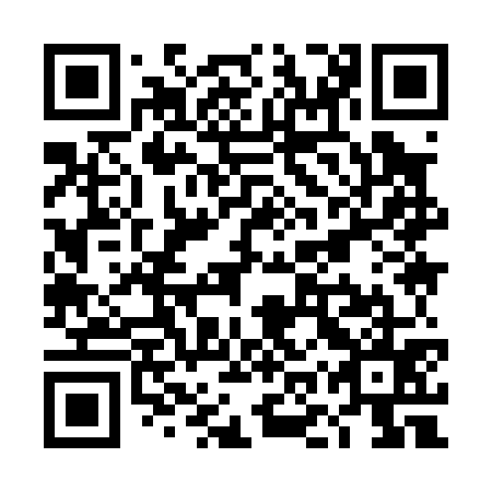 QR code for TOY 075