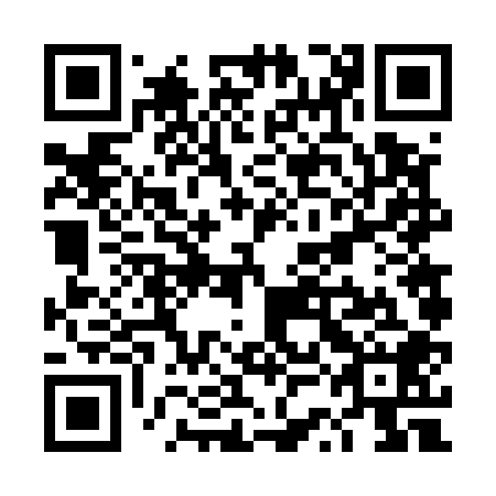 QR code for plate TSF 508