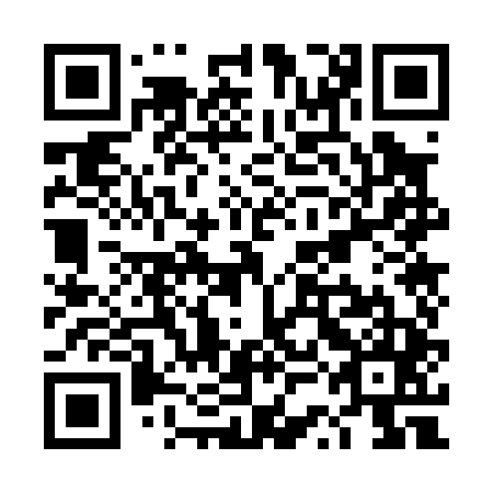 QR code for plate TSO 045