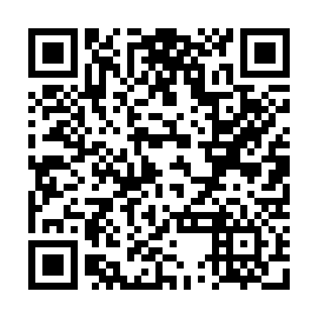 QR code for plate TUD 336