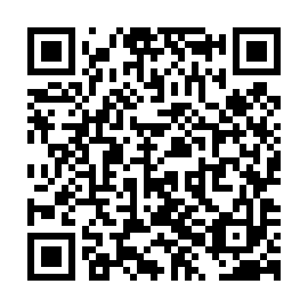 QR code for TXO 493