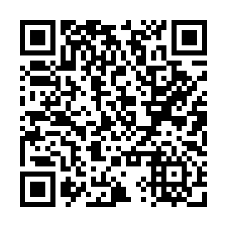 QR code for plate TYP 596