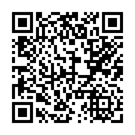QR code for TZZ 341