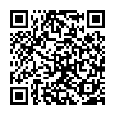QR code for plate UDH 371
