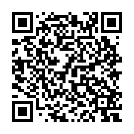 QR code for UDI 302