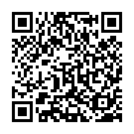 QR code for plate UDN 411