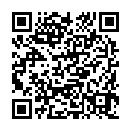 QR code for UDY382