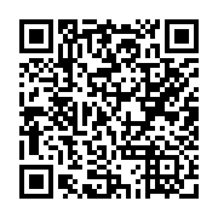 QR code for plate UFA 933