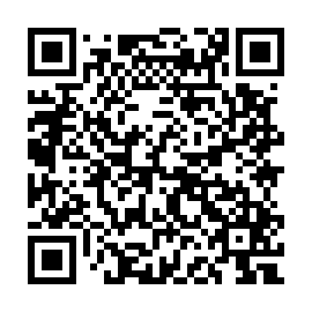 QR code for plate UFI 545