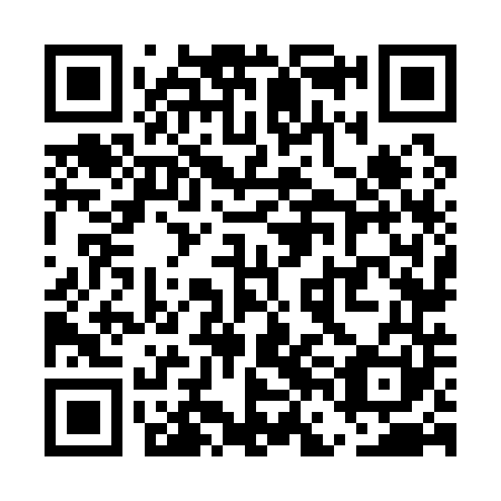 QR code for plate UFN 141