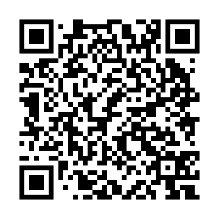 QR code for plate UFX 234