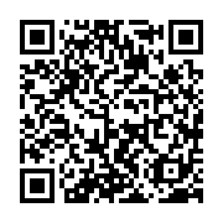 QR code for UGX311