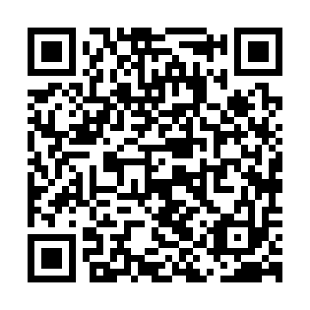 QR code for plate UIX 313