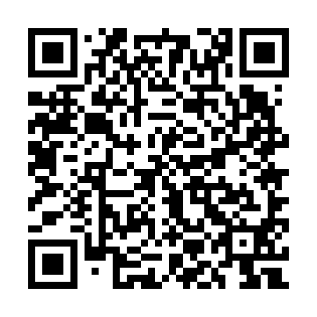 QR code for plate UME 690