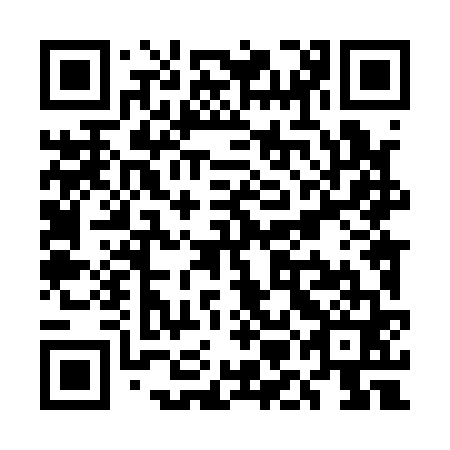 QR code for UML 161
