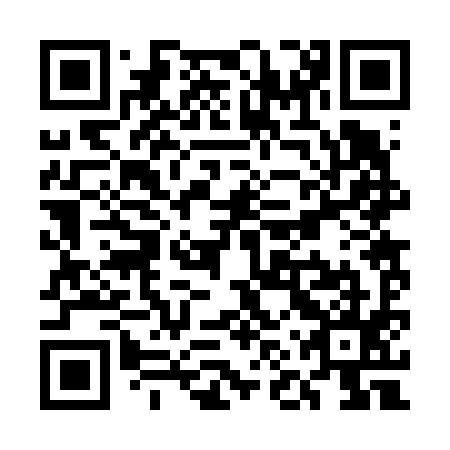 QR code for plate UNR 695