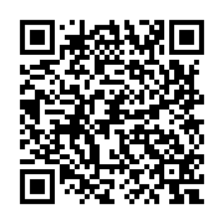 QR code for plate UYS 913