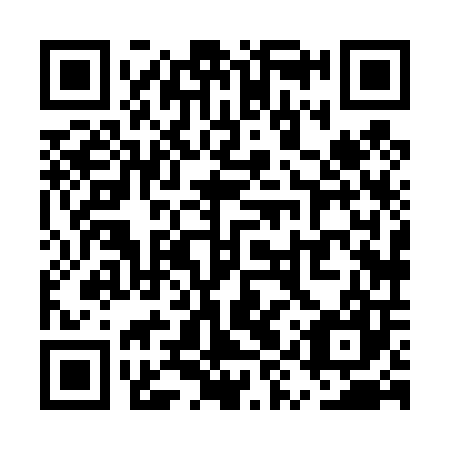 QR code for plate UYX 407